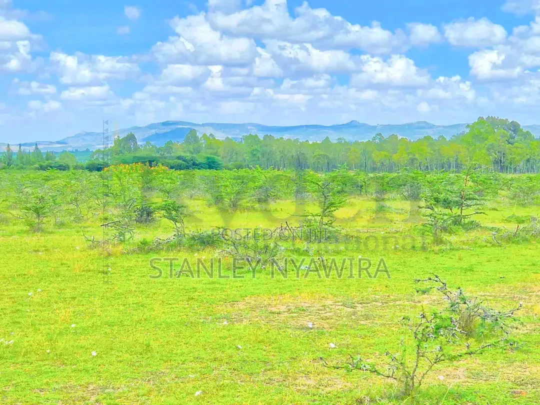 4 Acrea Nanyuki Ereri Opp Olopjeta Gate in Nanyuki