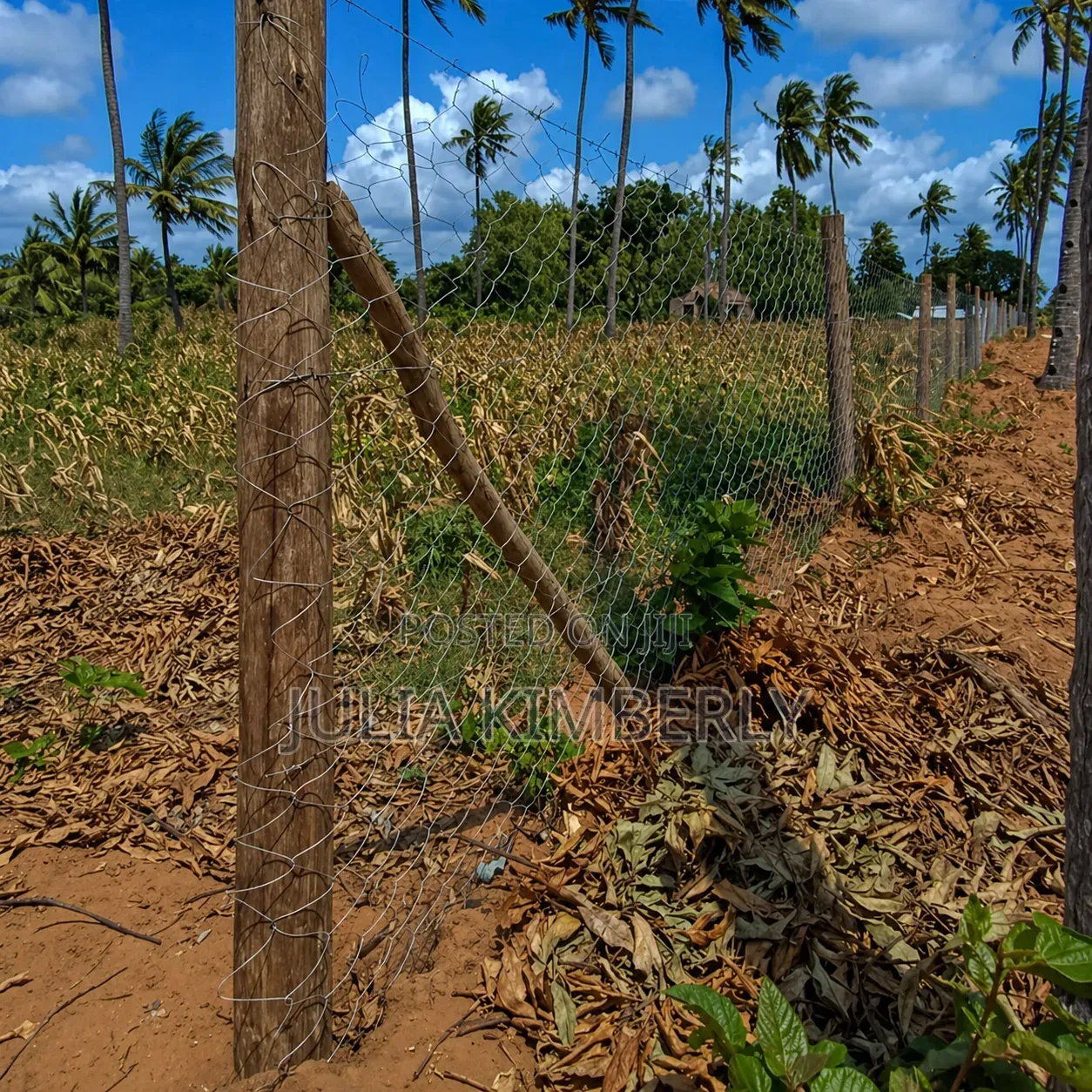 5th Row Property Kilifi 50 by 100 in Kilifi Town