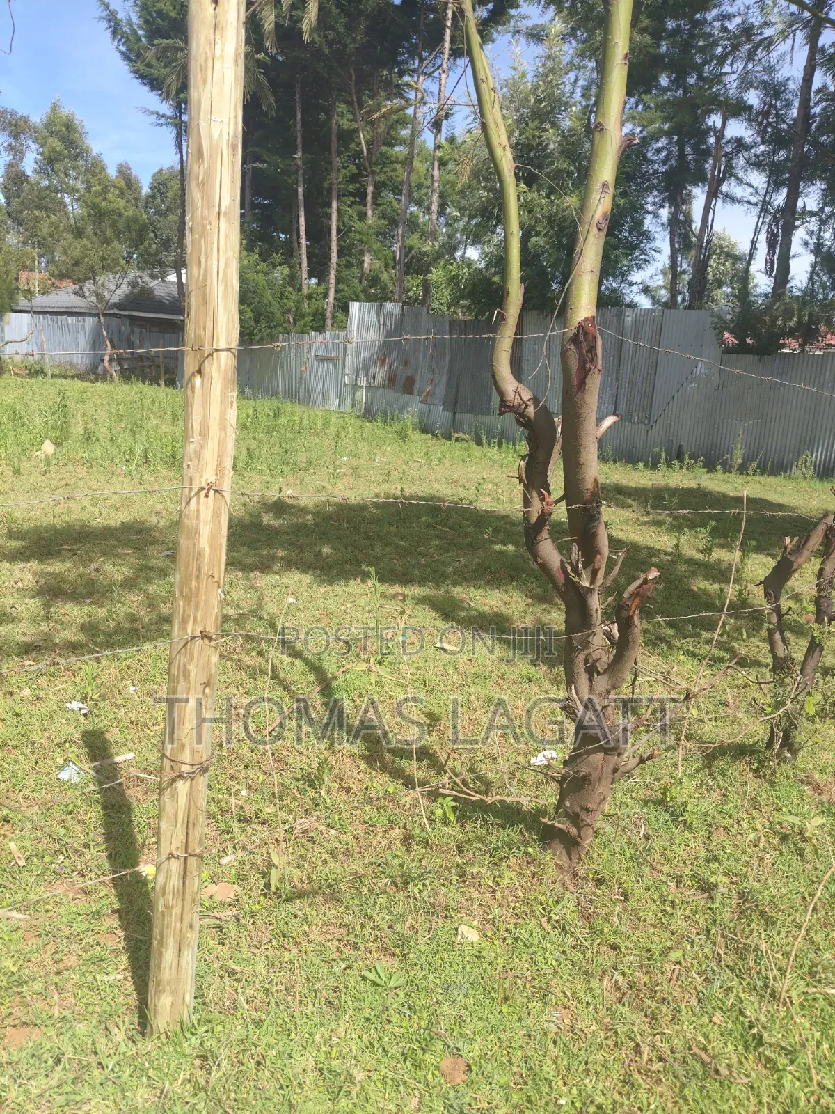 Eldoret Outspan Prime 1⁄8 Acre Plot on Sale in Wareng