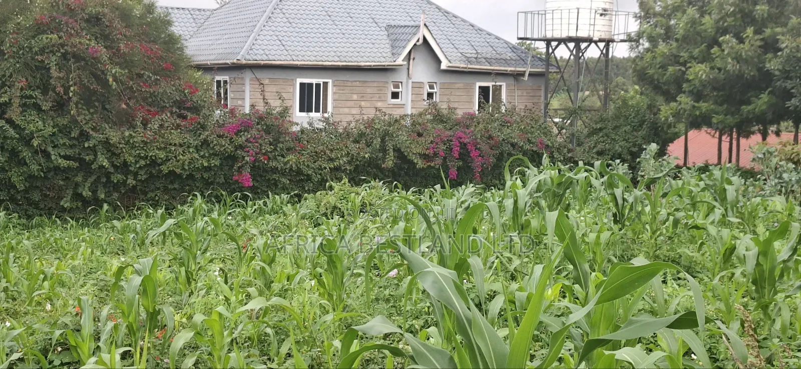 100x100 Plot for Sale – Thigio, Kiambu County in Kikuyu