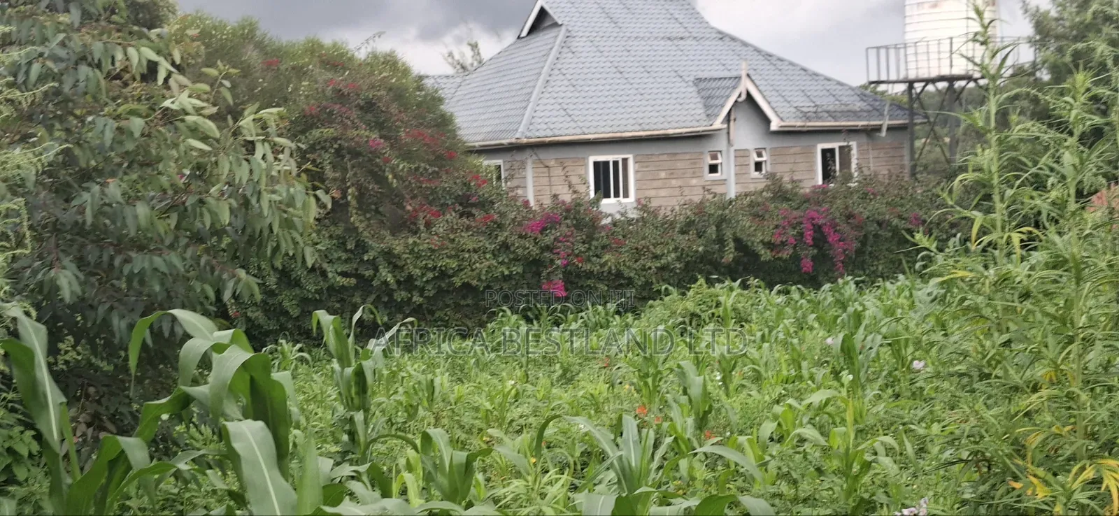 100x100 Plot for Sale – Thigio, Kiambu County in Kikuyu