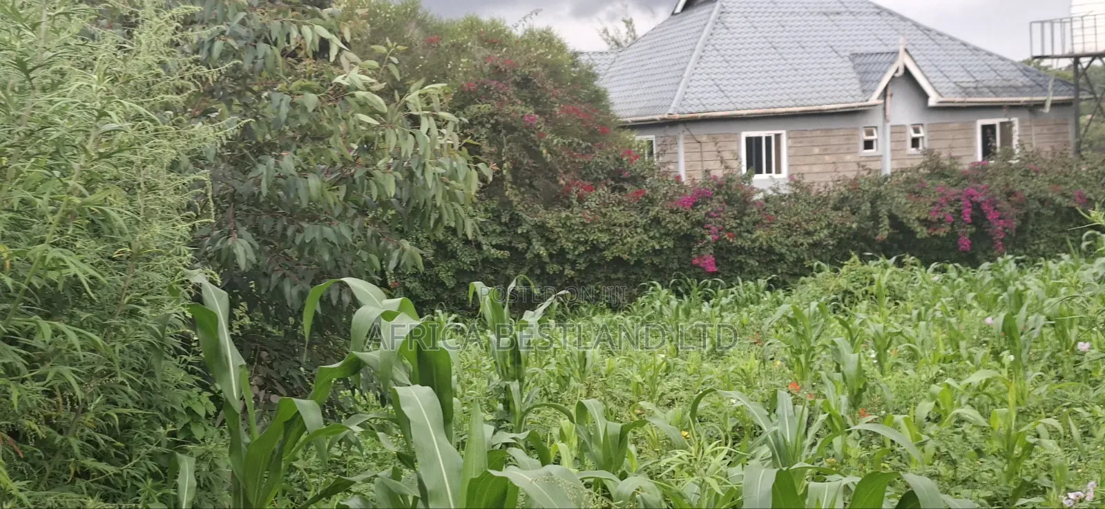 100x100 Plot for Sale – Thigio, Kiambu County in Kikuyu