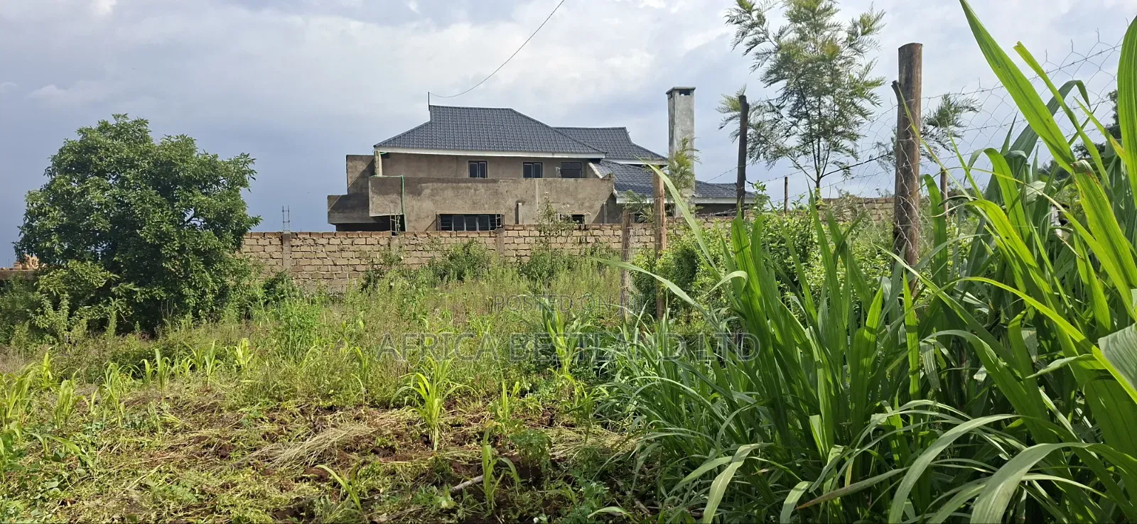50x100 Residential Plot for Sale – Kikuyu Ng'amba, Kiambu County in Kikuyu