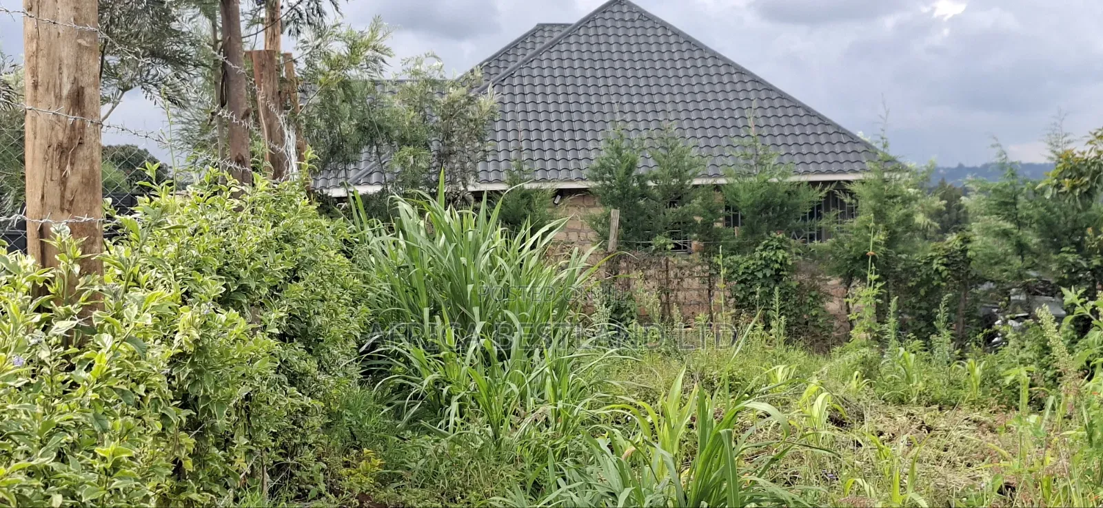 50x100 Residential Plot for Sale – Kikuyu Ng'amba, Kiambu County in Kikuyu