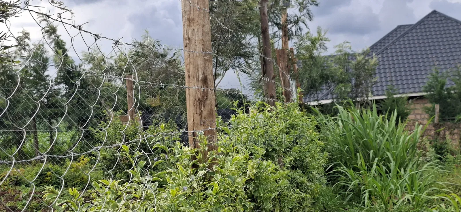 50x100 Residential Plot for Sale – Kikuyu Ng'amba, Kiambu County in Kikuyu