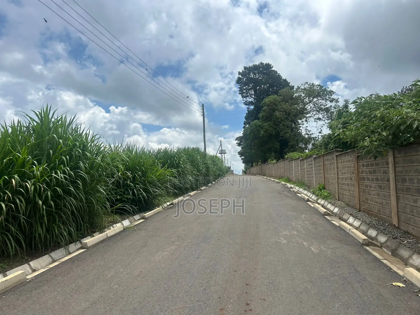 Prime Fully Serviced 1⁄4- Acre Plots for Sale in Limuru Redhill. in Tigoni