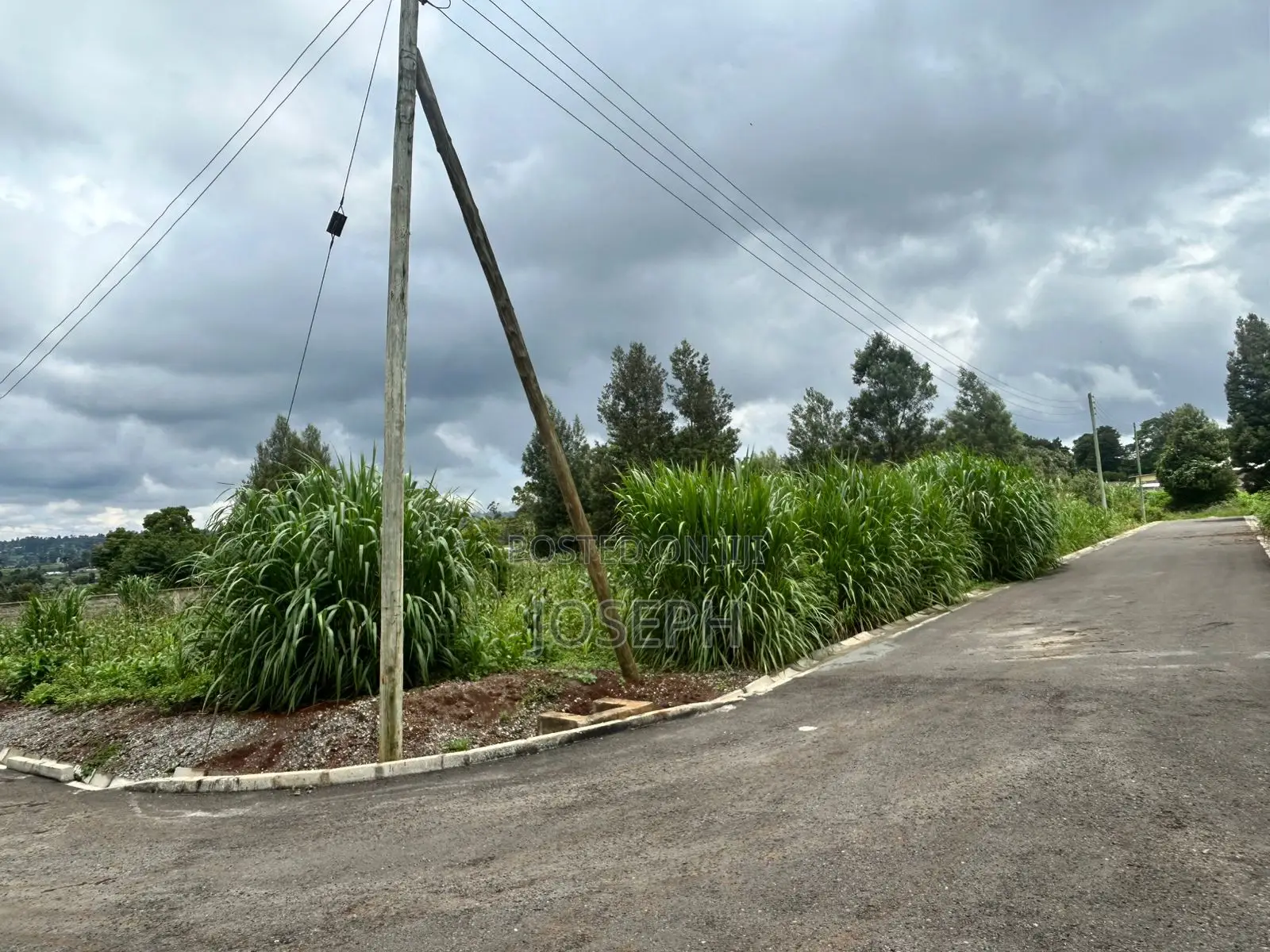 Prime Fully Serviced 1⁄4- Acre Plots for Sale in Limuru Redhill. in Tigoni