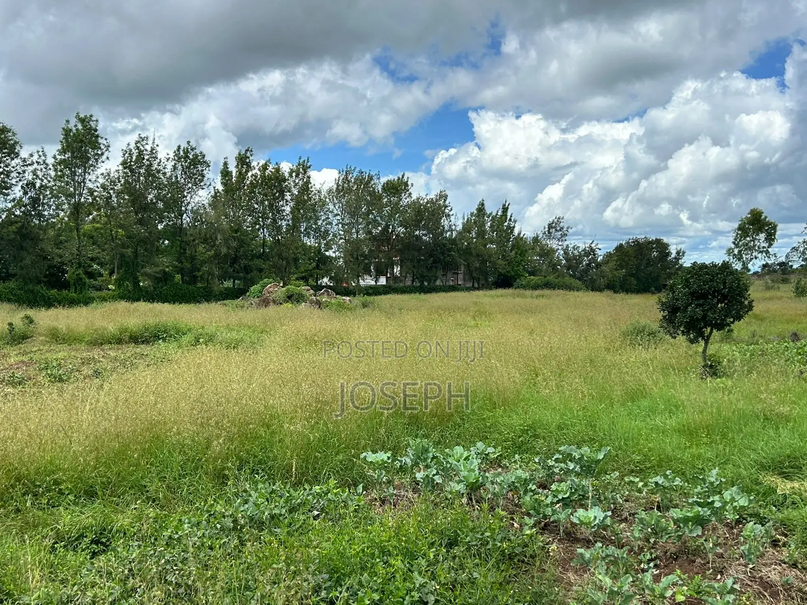 Kiserian Attractive 1/2acres Plot for Sale Near Hekima School in Kiserian