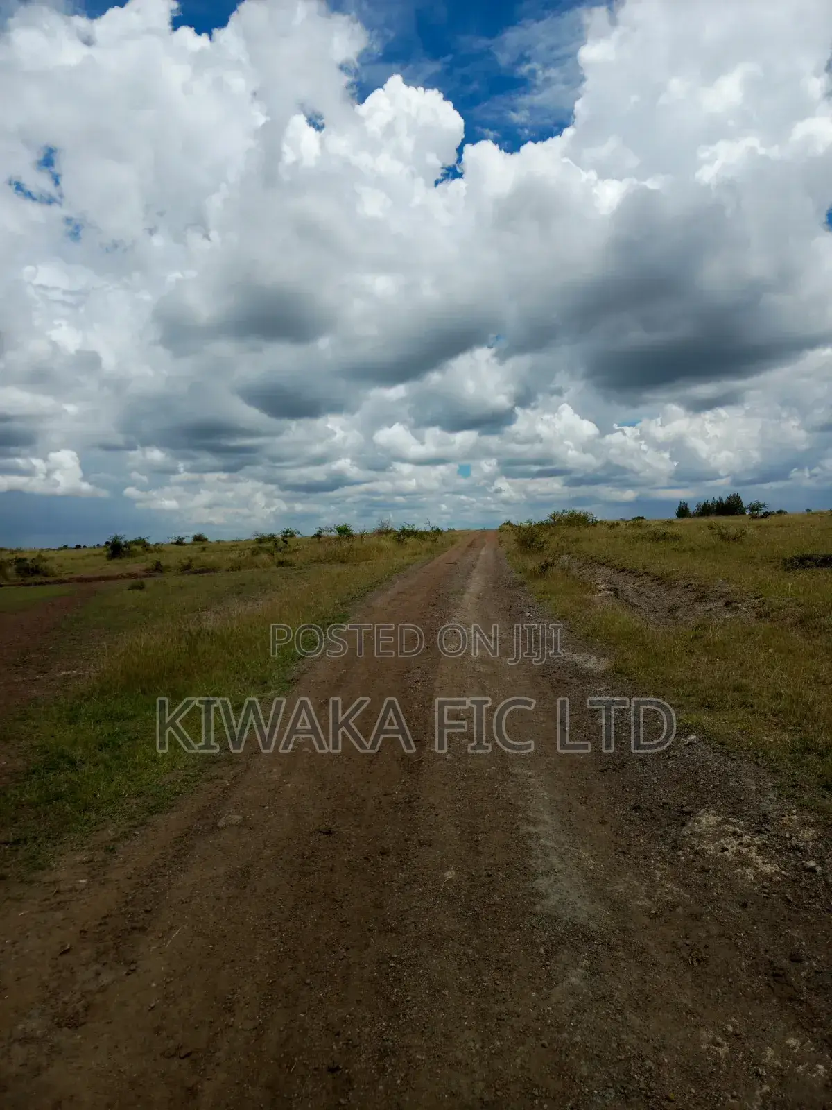Six Acres for Sale in Mwalimu Farm in Kamakis