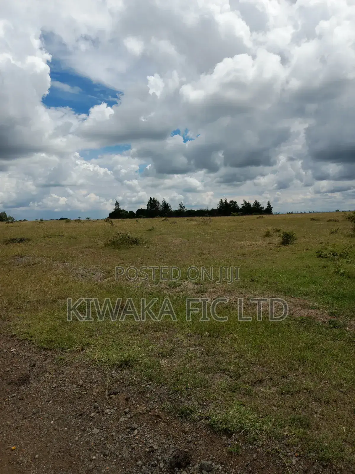 Six Acres for Sale in Mwalimu Farm in Kamakis