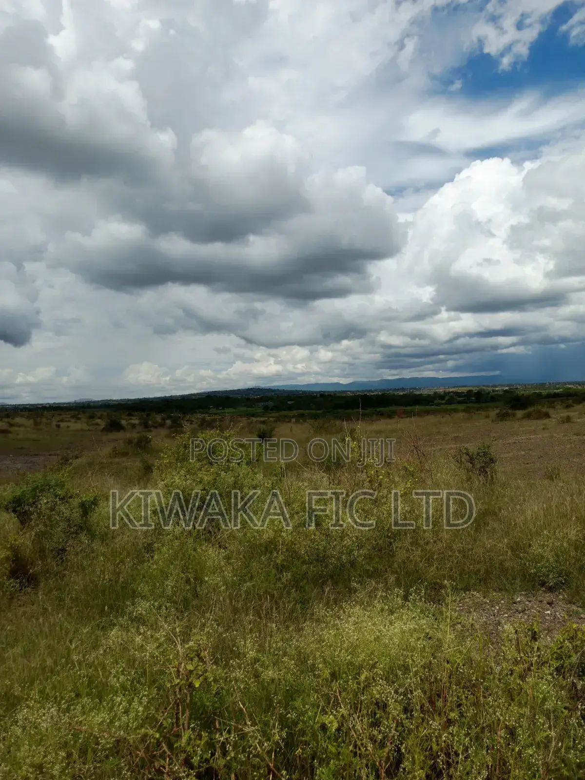 Six Acres for Sale in Mwalimu Farm in Kamakis