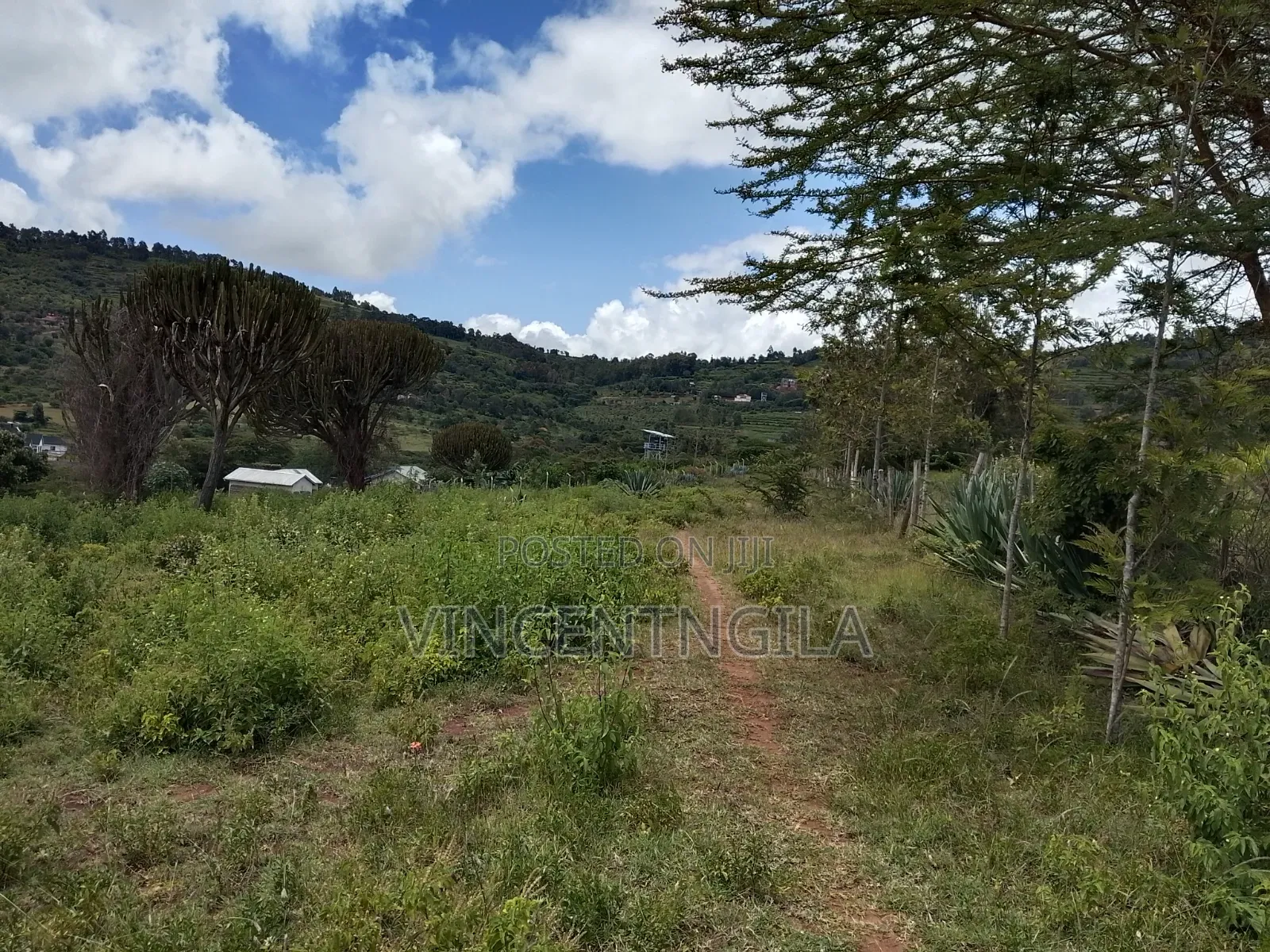 Mua Hills Prime 5 Acres in Mua