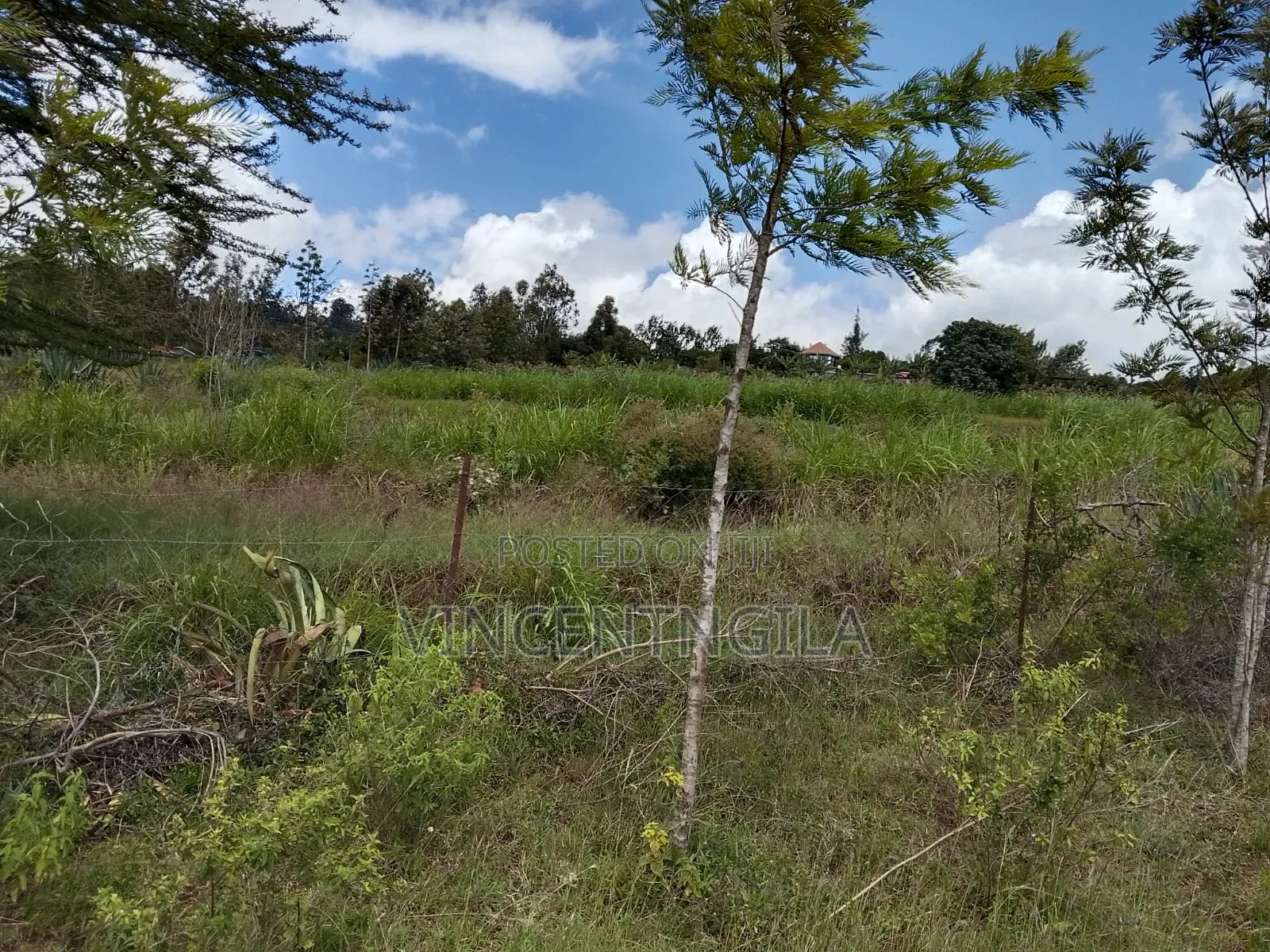 Mua Hills Prime 5 Acres in Mua