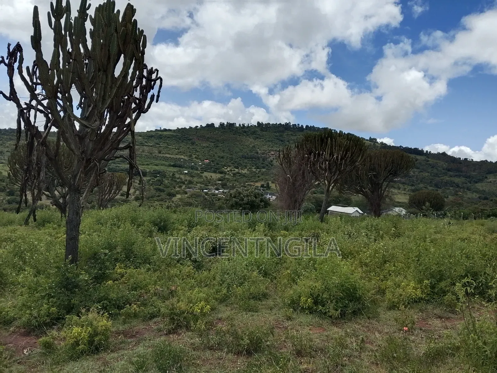 Mua Hills Prime 5 Acres in Mua