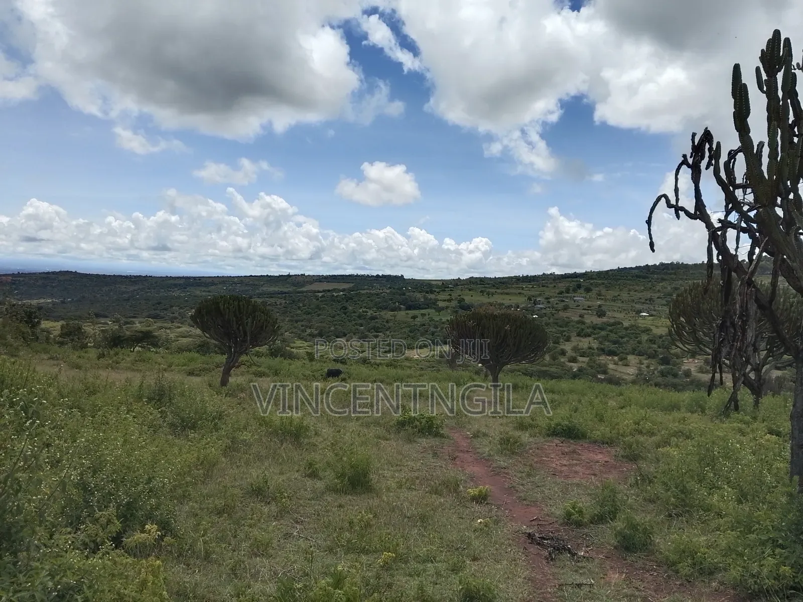 Mua Hills Prime 5 Acres in Mua