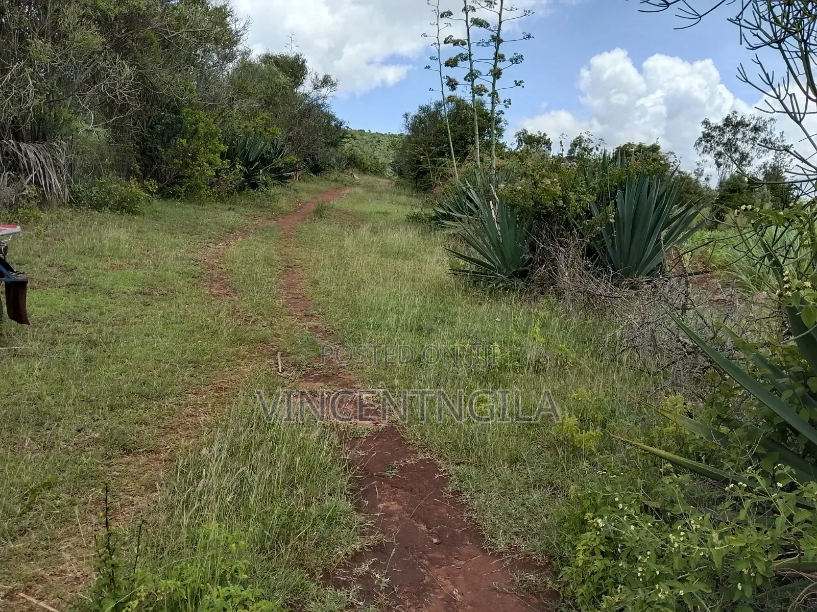 Mua Hills Prime 5 Acres in Mua