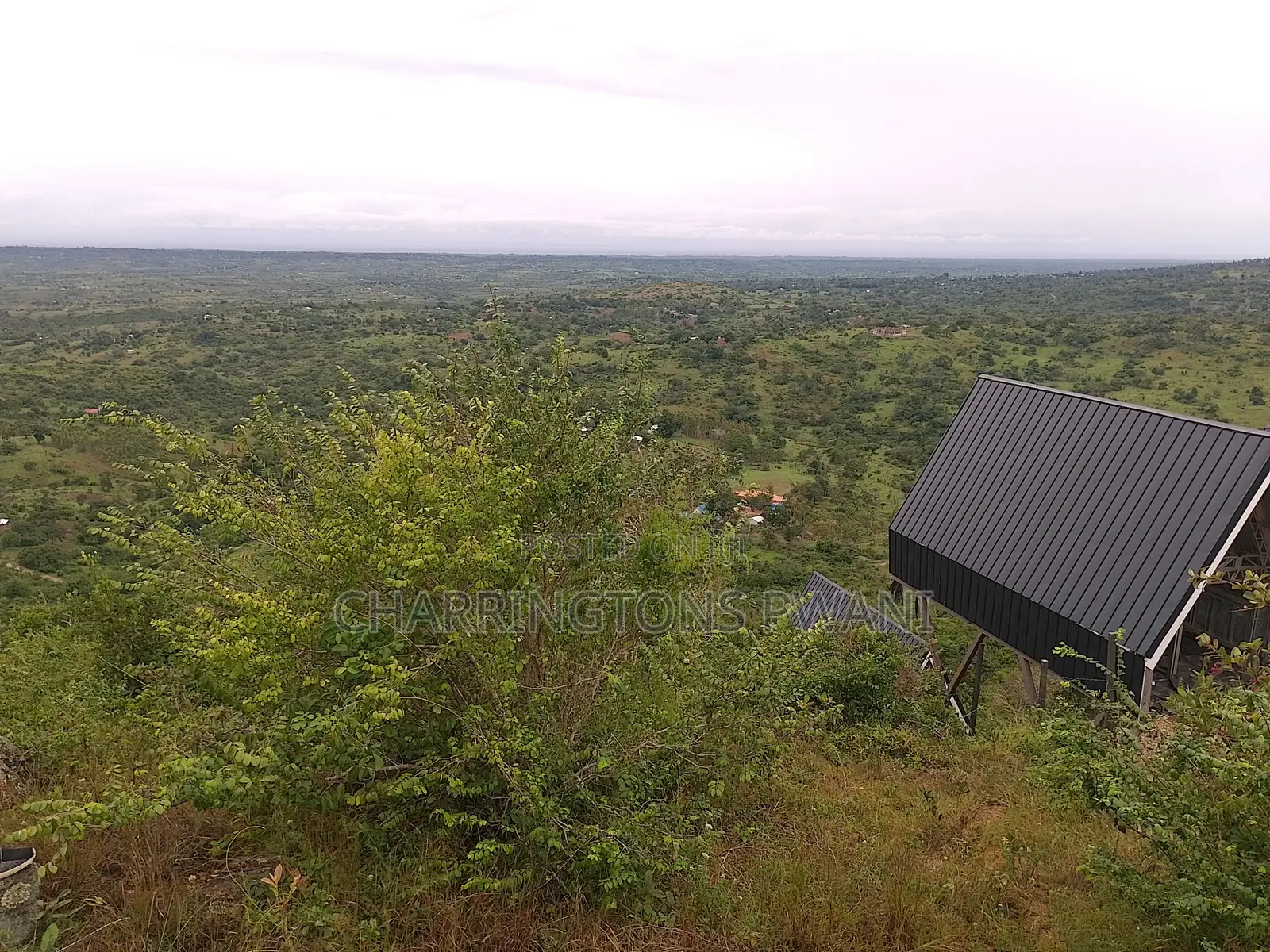 1.25 Acre Hillside Plot | Panoramic Views | Cooler Climate | Golini in Kinango