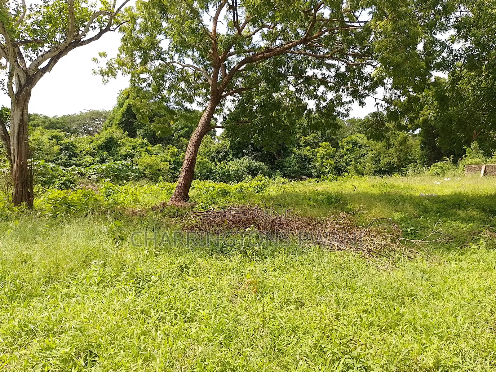 1⁄2 Acre Plot | 2nd Row Diani | Municipal Water | Behind Tandoori in Diani