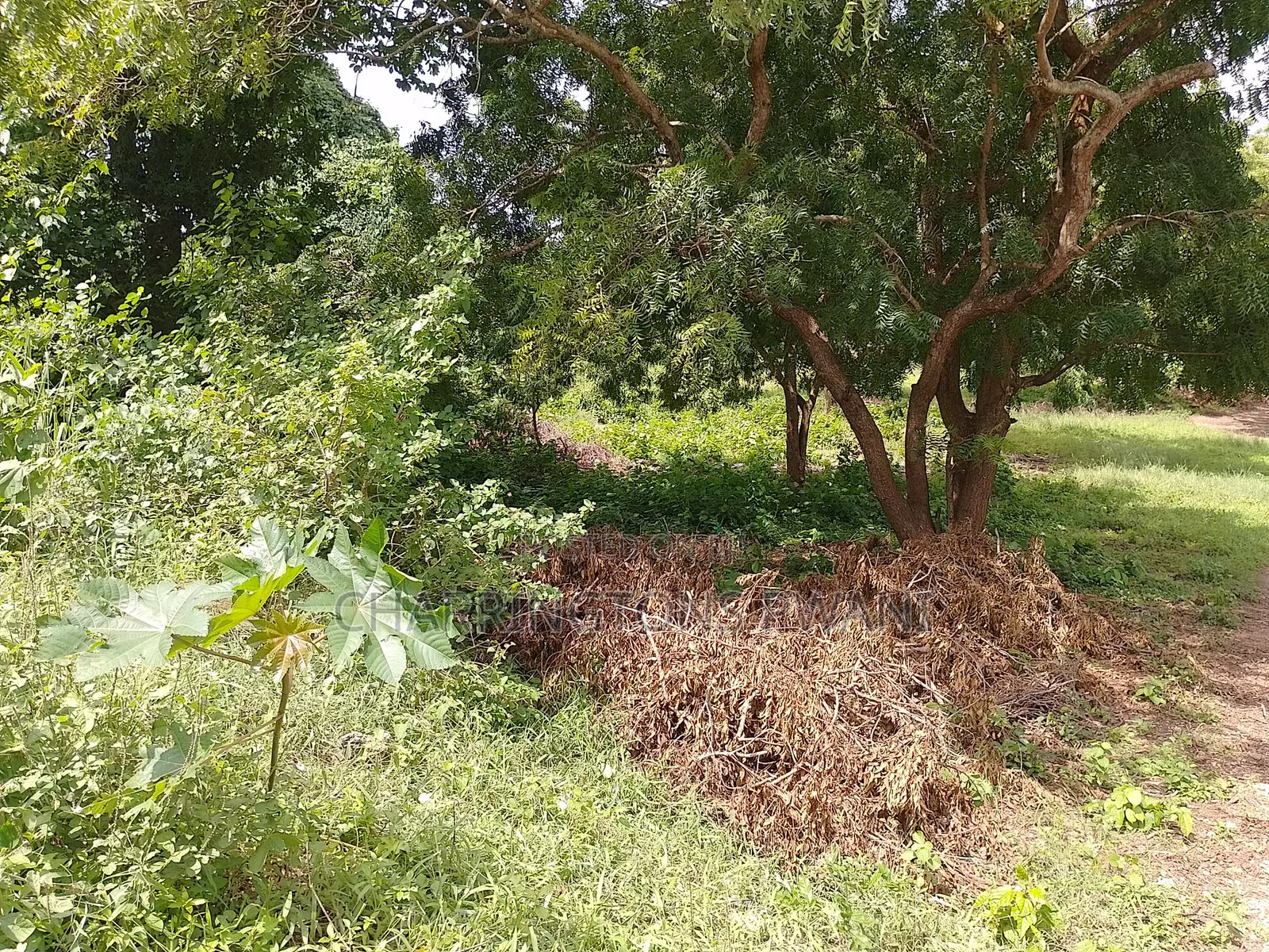 1⁄2 Acre Plot | 2nd Row Diani | Municipal Water | Behind Tandoori in Diani
