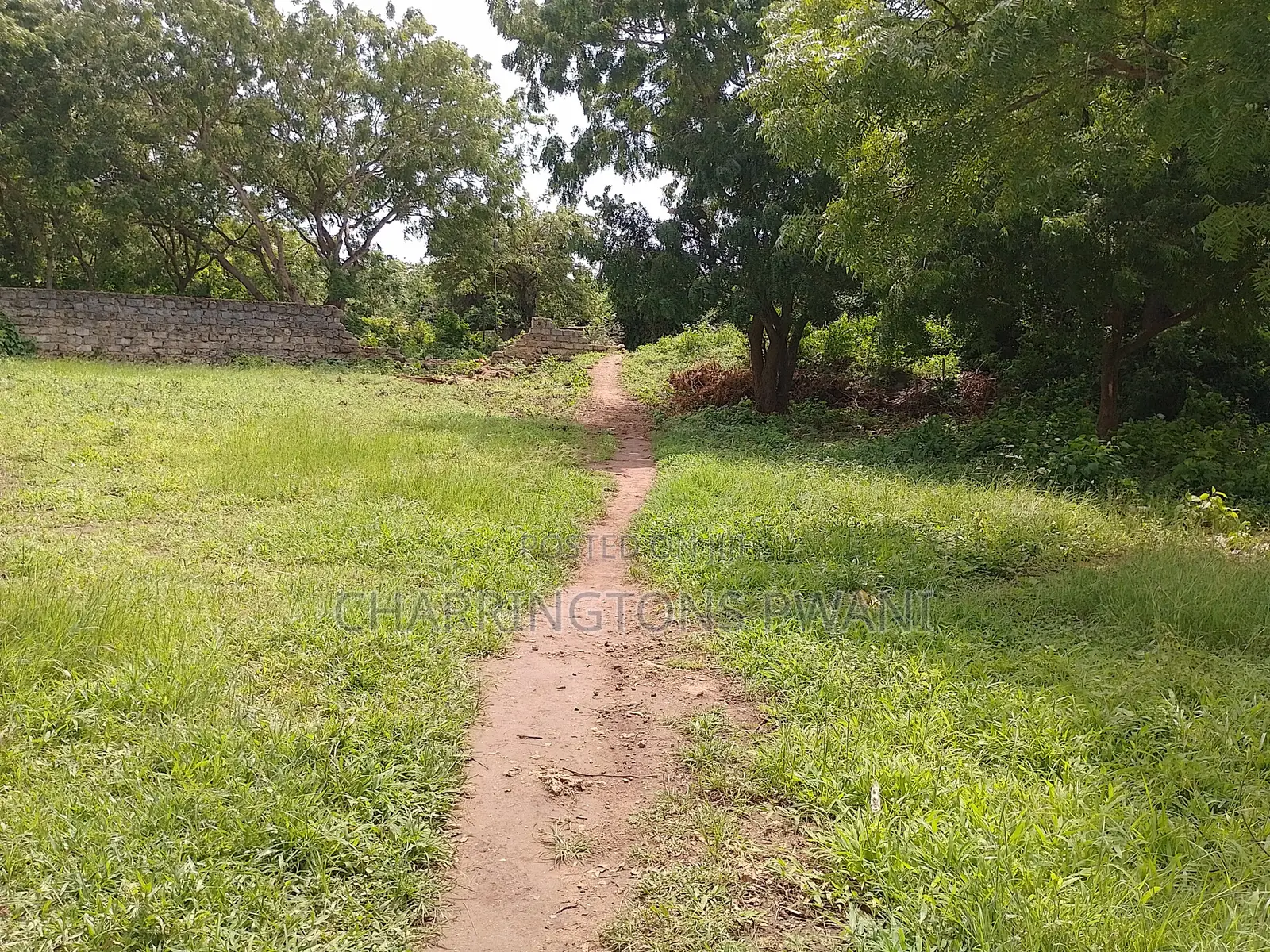 1⁄2 Acre Plot | 2nd Row Diani | Municipal Water | Behind Tandoori in Diani