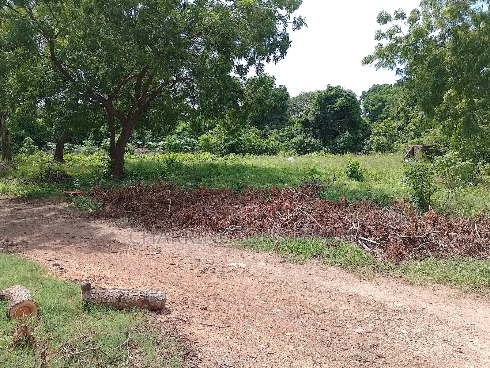 1⁄2 Acre Plot | 2nd Row Diani | Municipal Water | Behind Tandoori in Diani