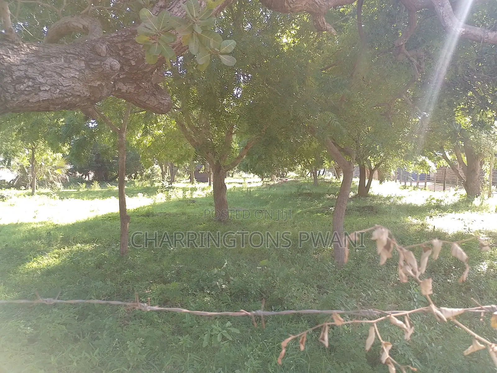 1 Acre Plot | Kongo Riverfront | 3rd Row Diani | Sunset Views in Diani