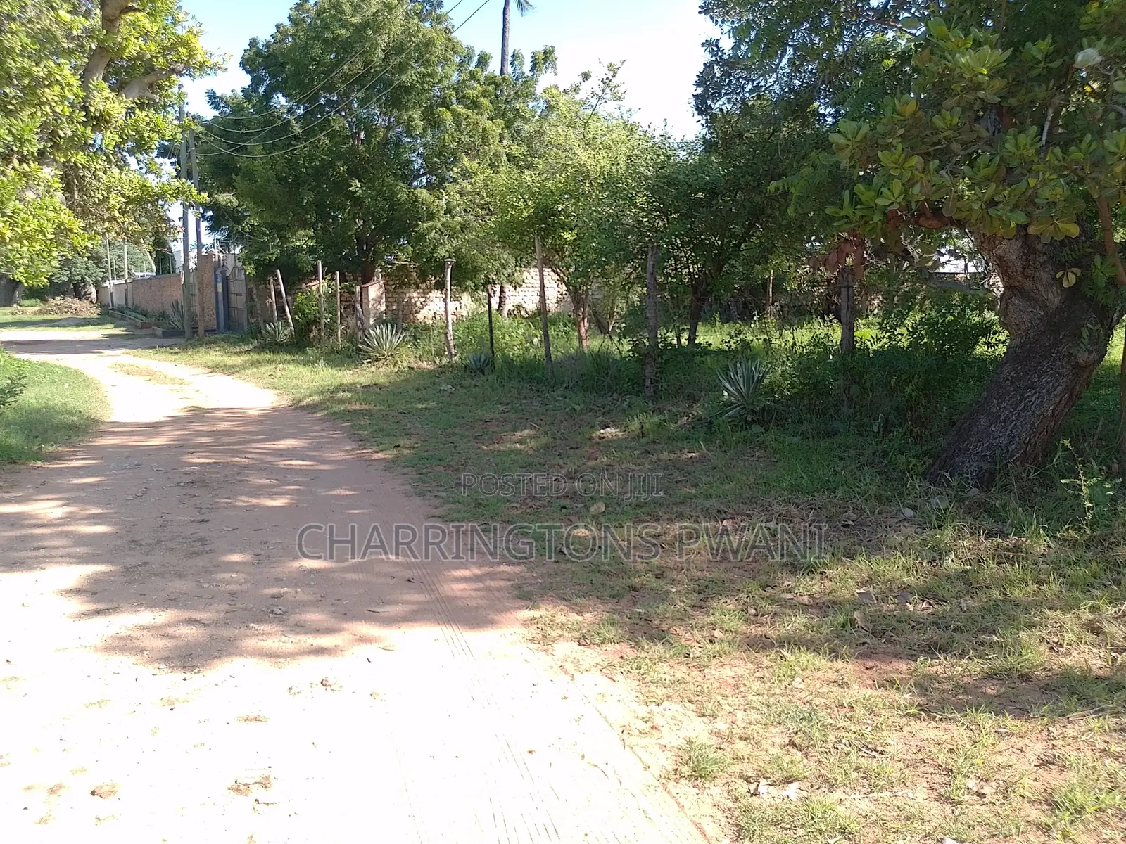 1 Acre Plot | Kongo Riverfront | 3rd Row Diani | Sunset Views in Diani