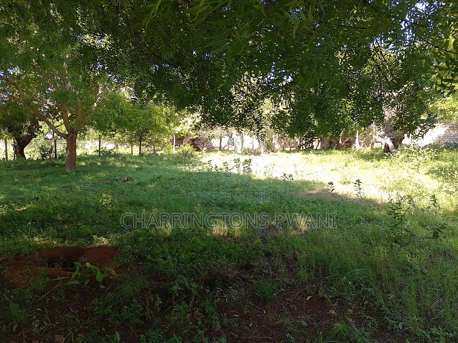 1 Acre Plot | Kongo Riverfront | 3rd Row Diani | Sunset Views in Diani