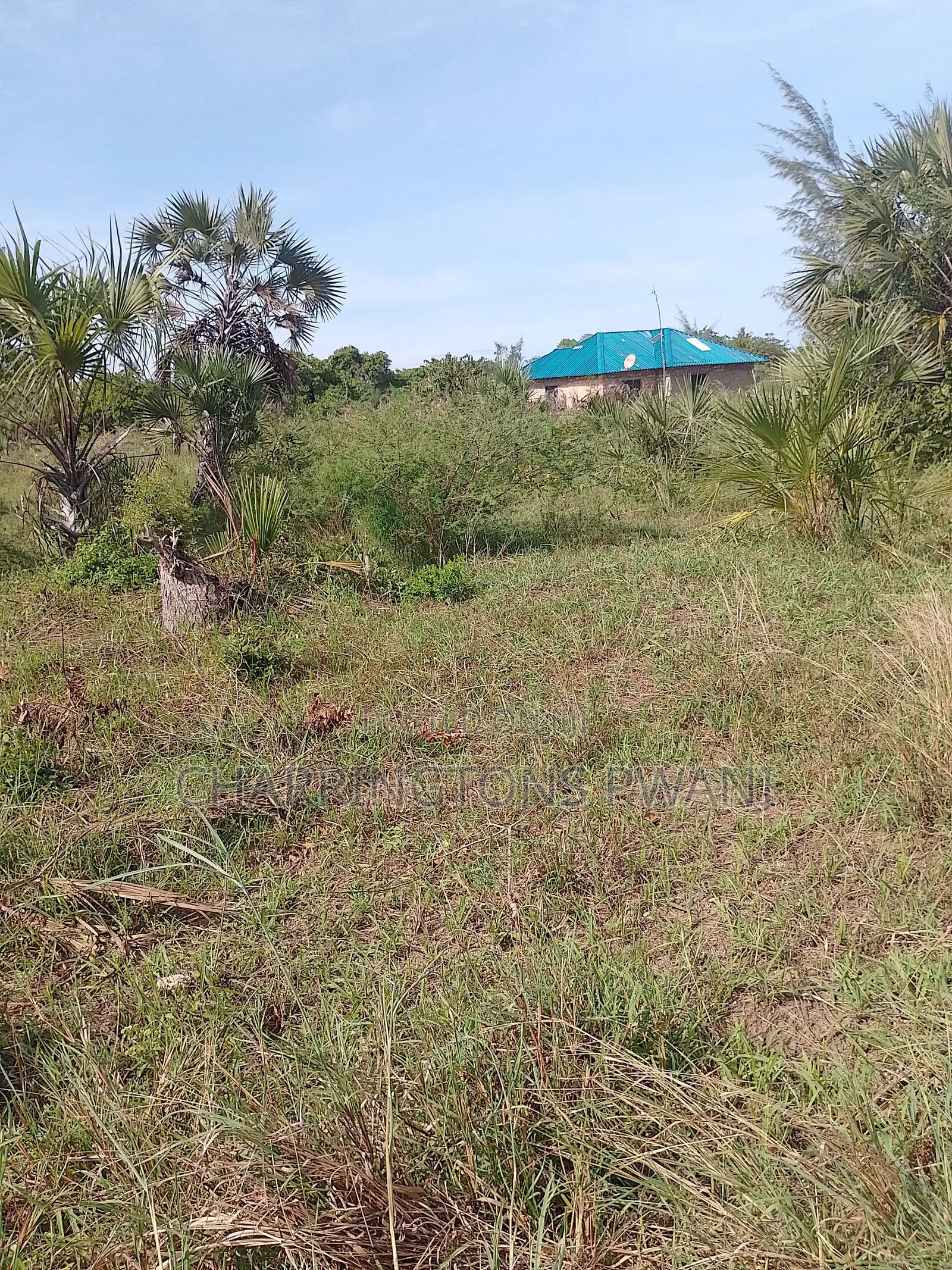 6.5 Acres | Flat | Tree Cover | Mwabungo Midlot in Mwavumbo