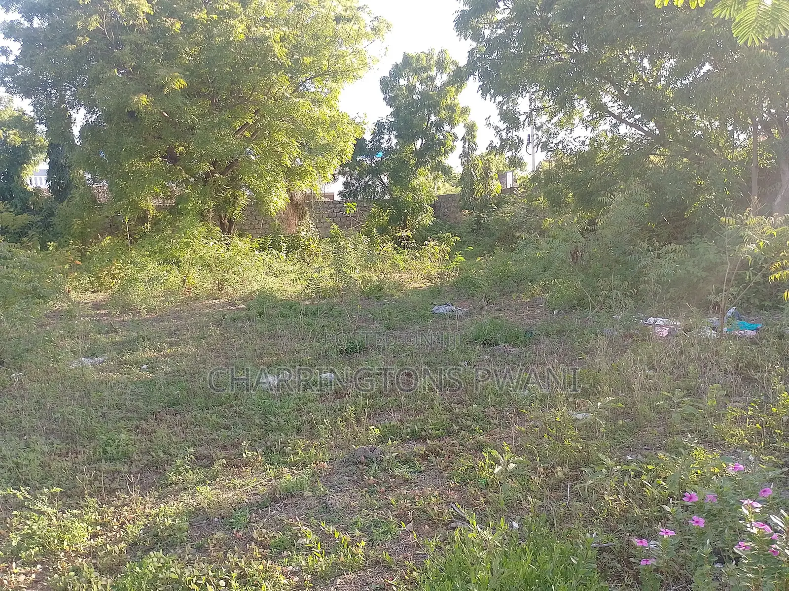 1⁄2 Acre Corner Plot | Perimeter Wall | 500m to Airport | Diani in Diani