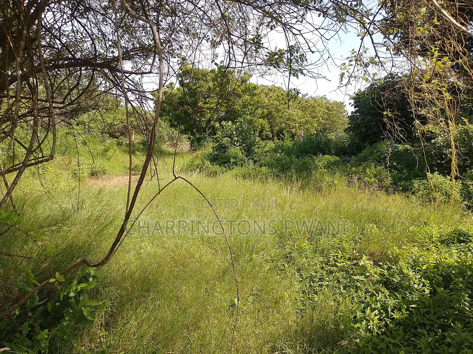 1 Acre Plot| 5th Row Diani | Flat| Perimeter Fence | All-Weather Road in Diani