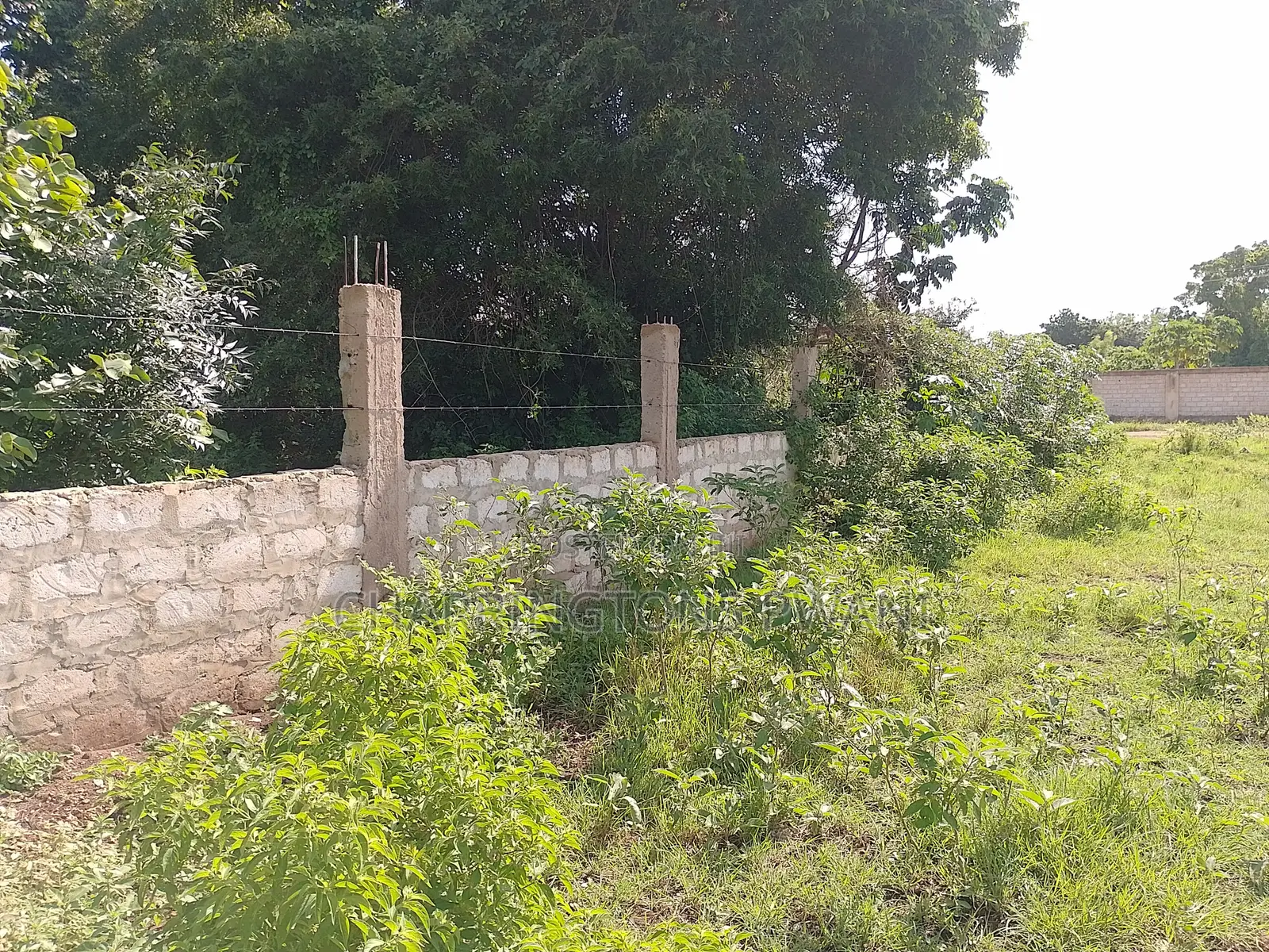 1 Acre Plot| 5th Row Diani | Flat| Perimeter Fence | All-Weather Road in Diani