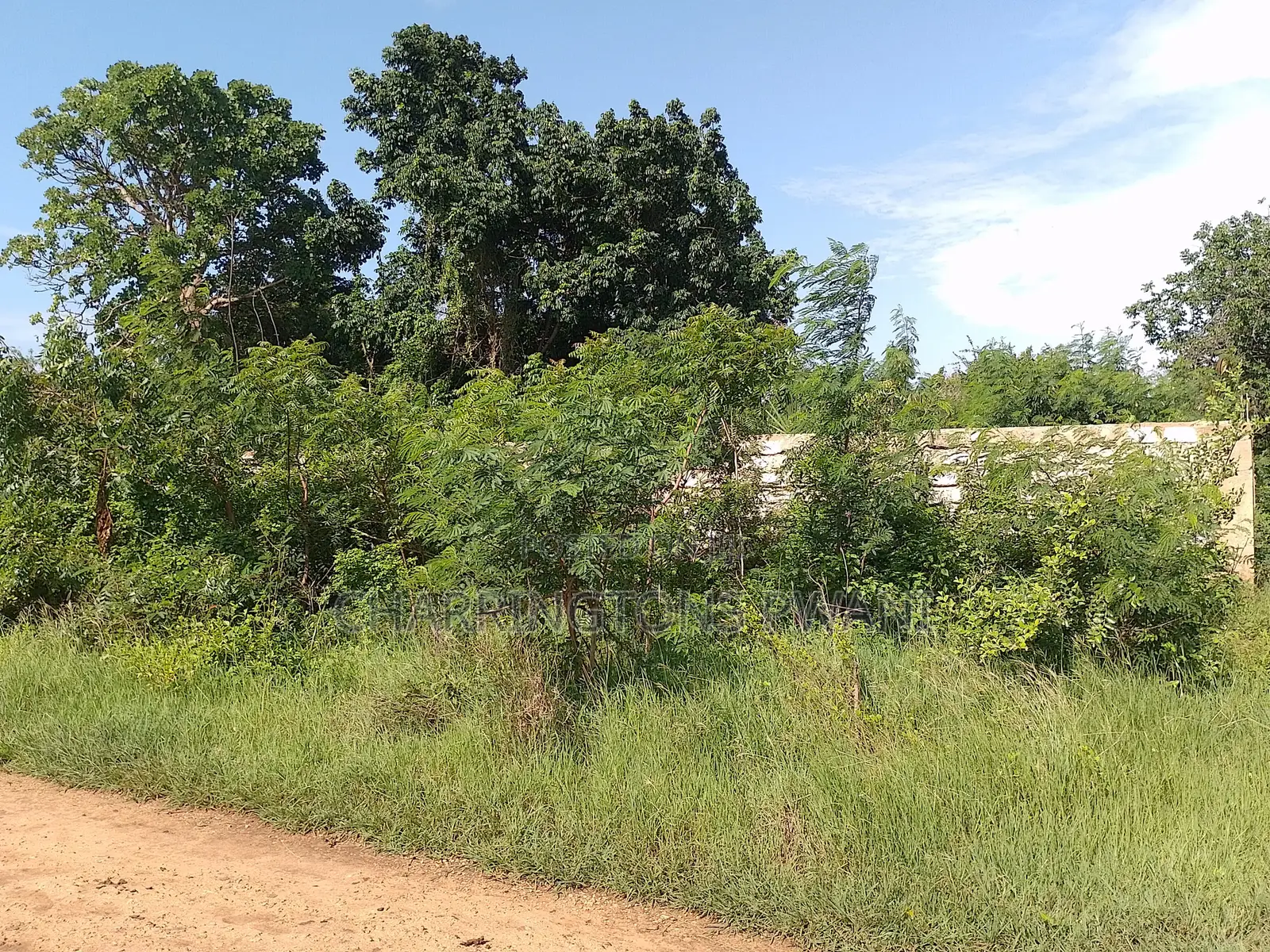 1 Acre Plot| 5th Row Diani | Flat| Perimeter Fence | All-Weather Road in Diani