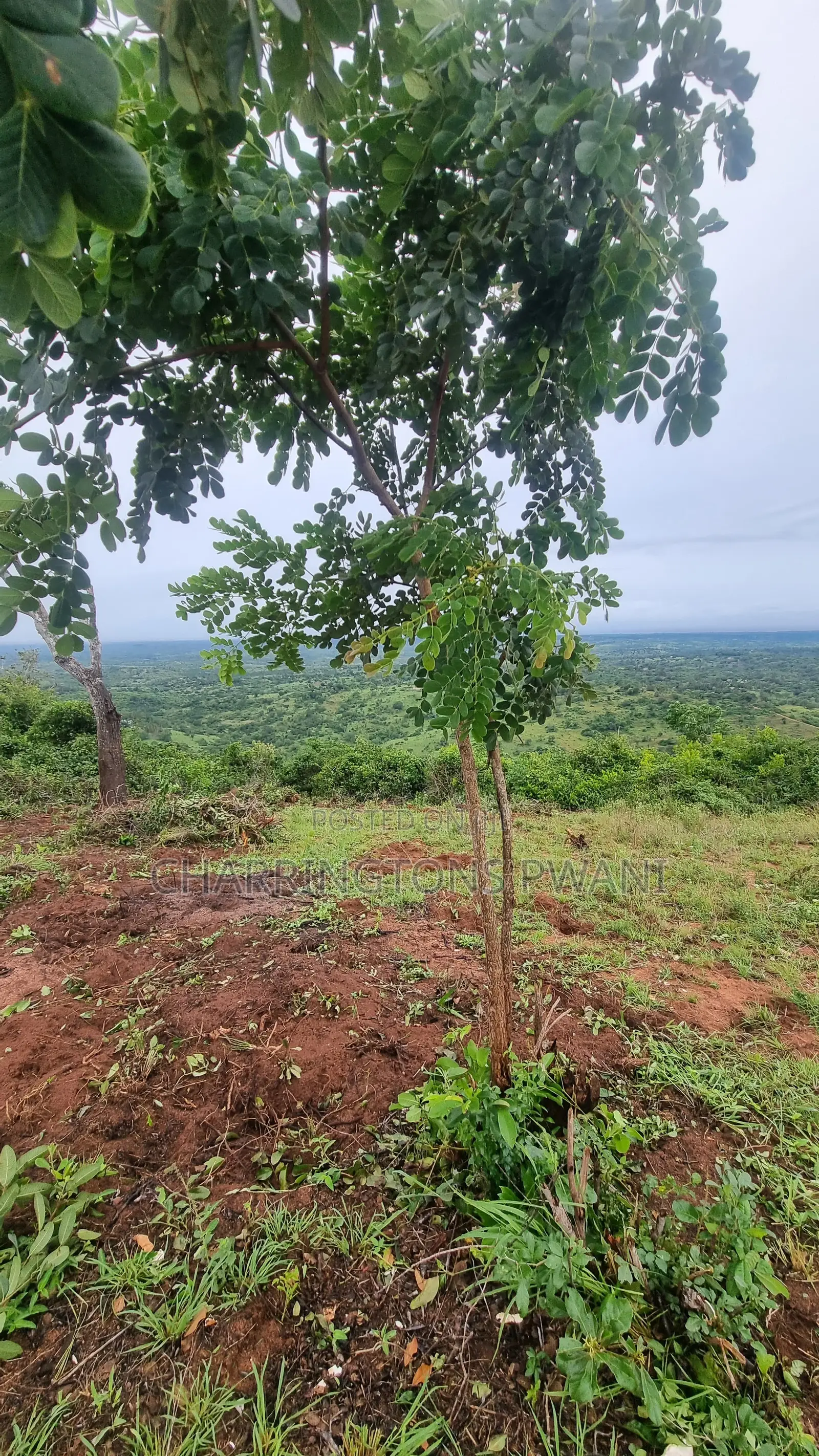 4 Acres Hillside Plot | 180° Waterfront Views | Golini in Kinango