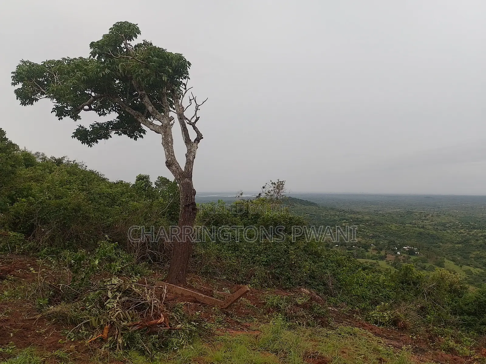 4 Acres Hillside Plot | 180° Waterfront Views | Golini in Kinango