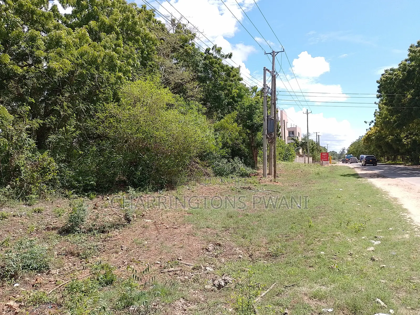 4 Acres | 2nd Row Diani Beach Road | Forest Cover | Hospitality Ideal in Diani