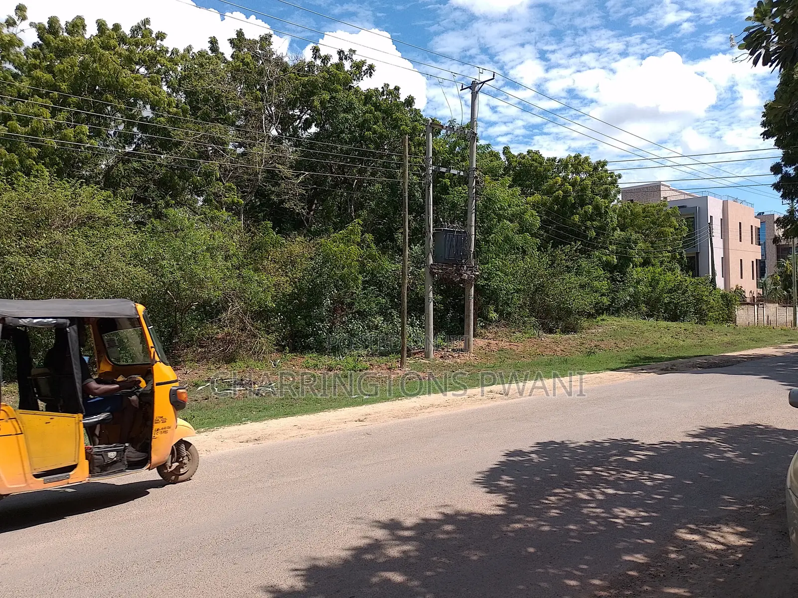 4 Acres | 2nd Row Diani Beach Road | Forest Cover | Hospitality Ideal in Diani