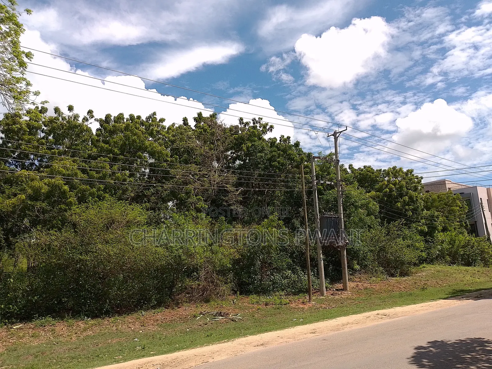4 Acres | 2nd Row Diani Beach Road | Forest Cover | Hospitality Ideal in Diani