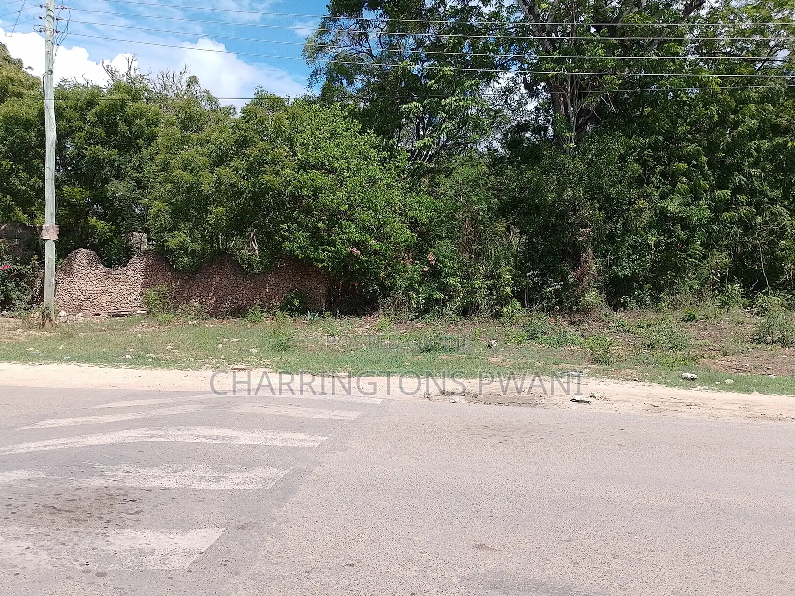 4 Acres | 2nd Row Diani Beach Road | Forest Cover | Hospitality Ideal in Diani