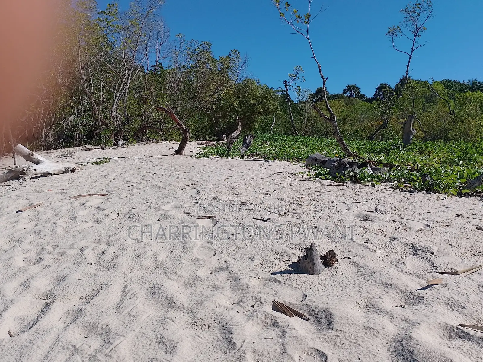 18 Acres Sandy Beachfront | Mangrove Frontage | Flat | Mwazaro Beach in Ramisi