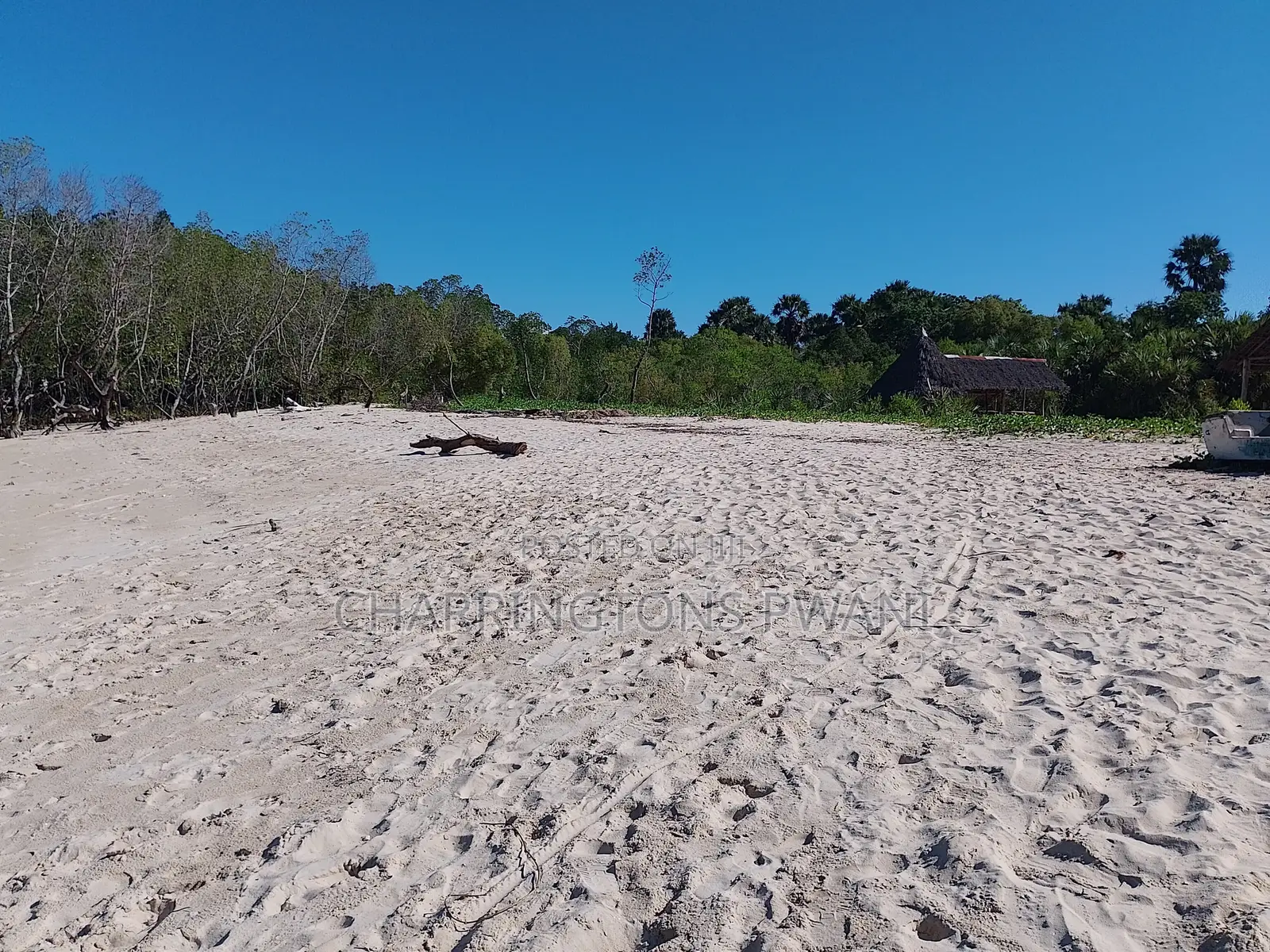 18 Acres Sandy Beachfront | Mangrove Frontage | Flat | Mwazaro Beach in Ramisi