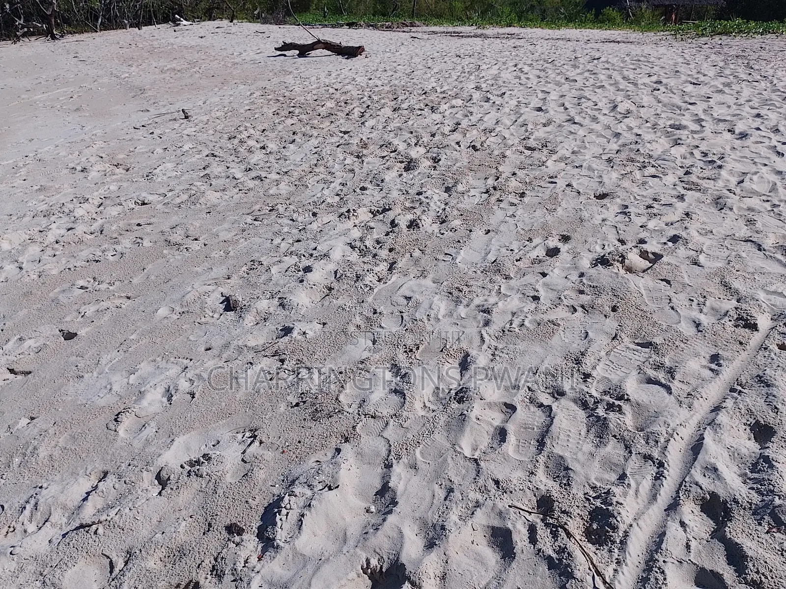 18 Acres Sandy Beachfront | Mangrove Frontage | Flat | Mwazaro Beach in Ramisi