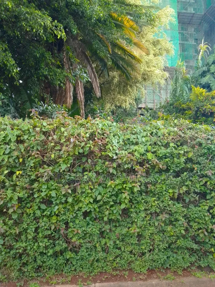 0.64 Acres Land for Sale in Westlands Rhapta Road Area in Raphta Road Area