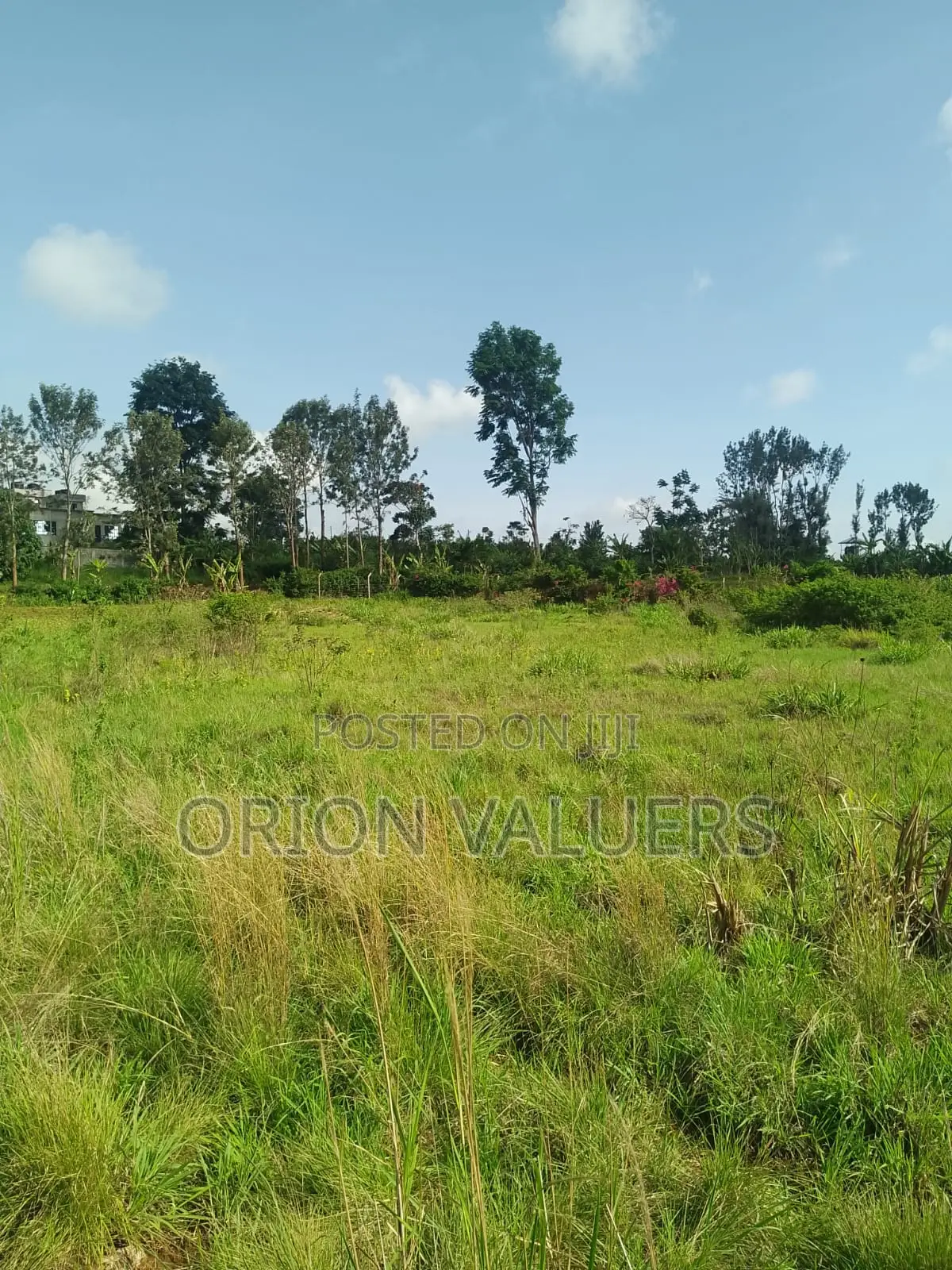 1/4 Plots for Sale Mugutha in RedSoil Estate