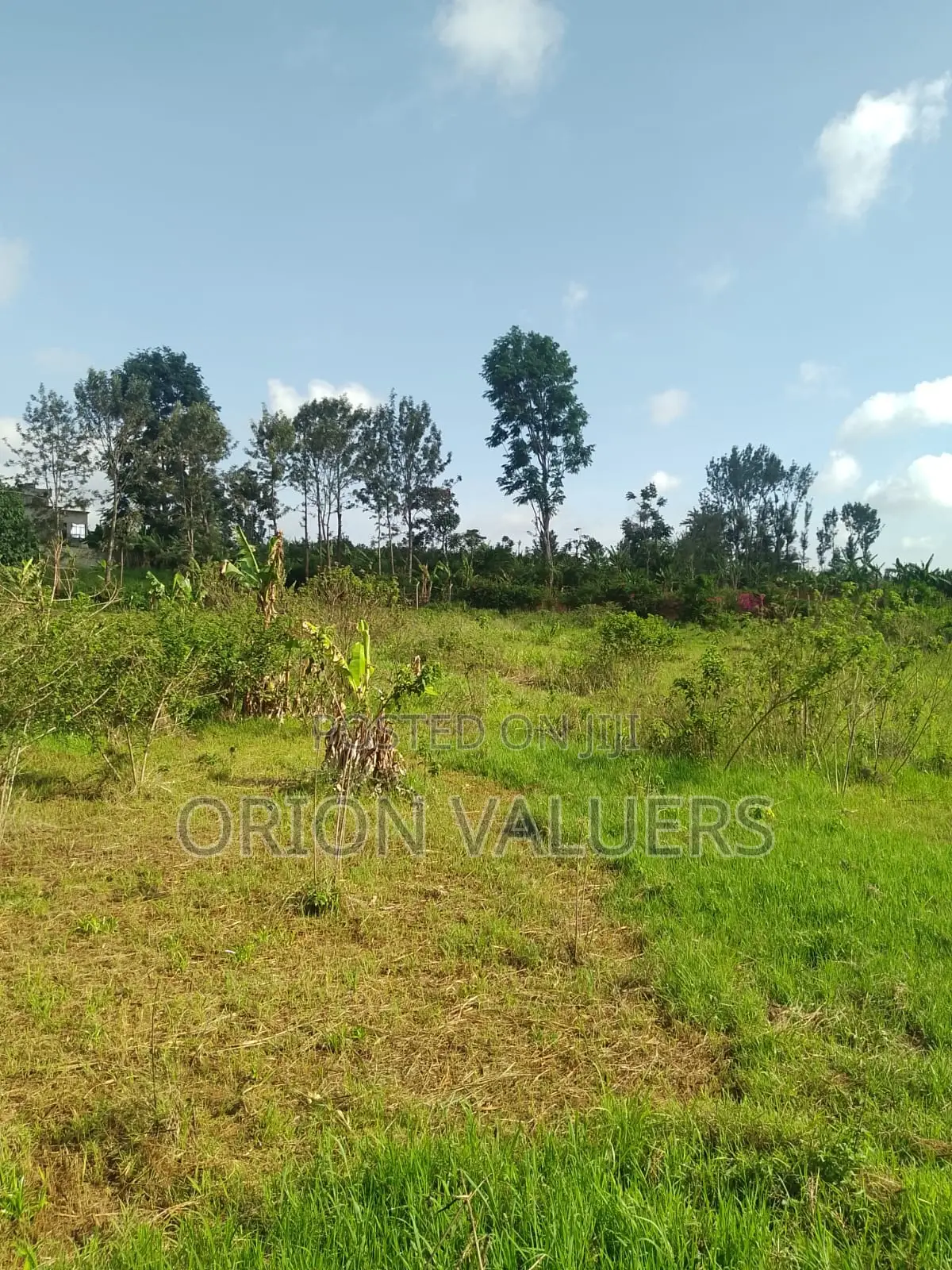 1/4 Plots for Sale Mugutha in RedSoil Estate