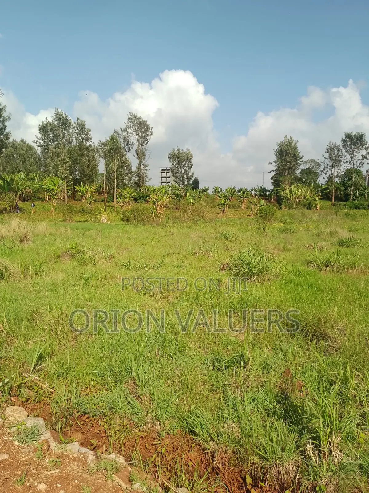 1/4 Plots for Sale Mugutha in RedSoil Estate