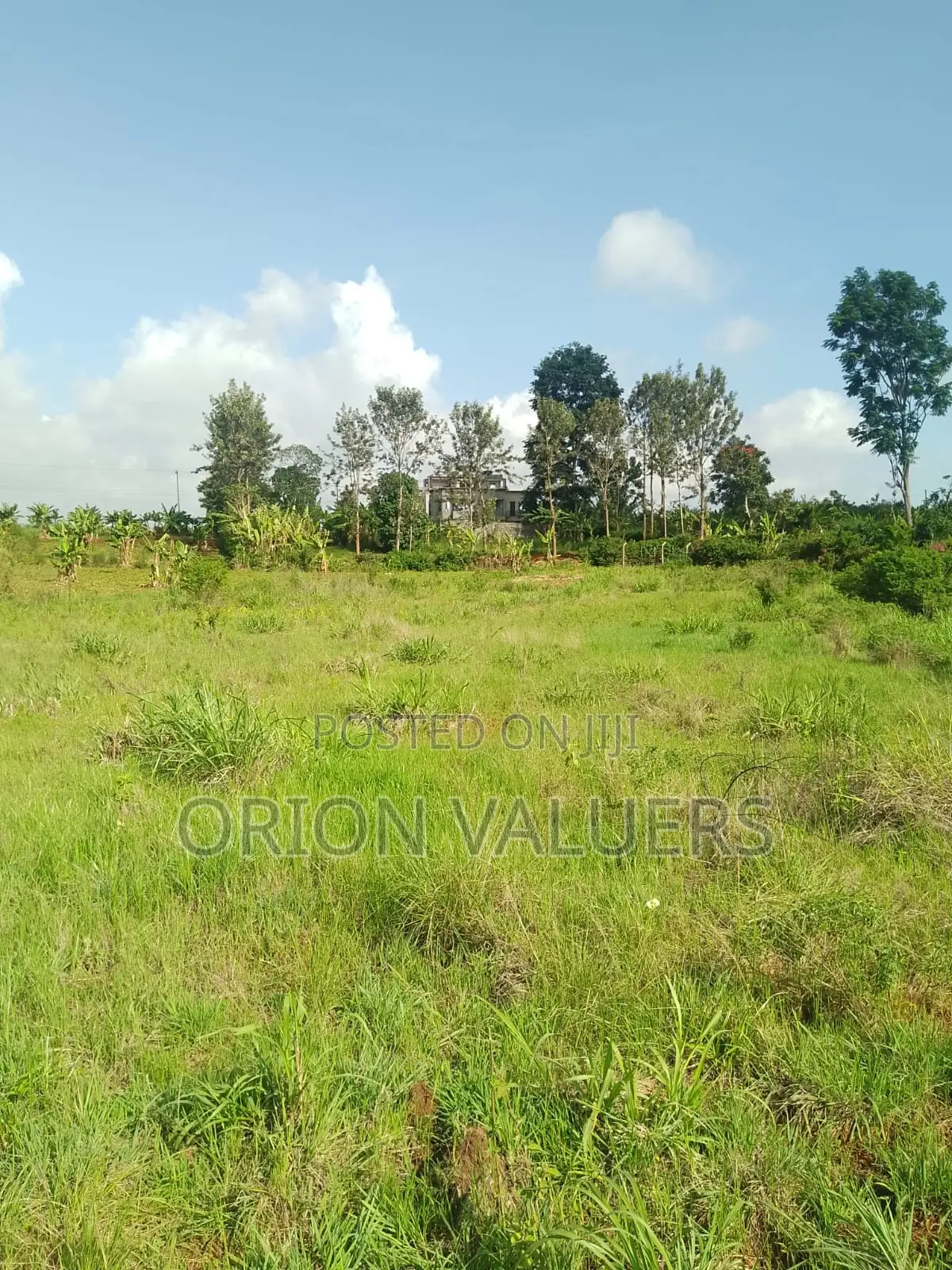 1/4 Plots for Sale Mugutha in RedSoil Estate