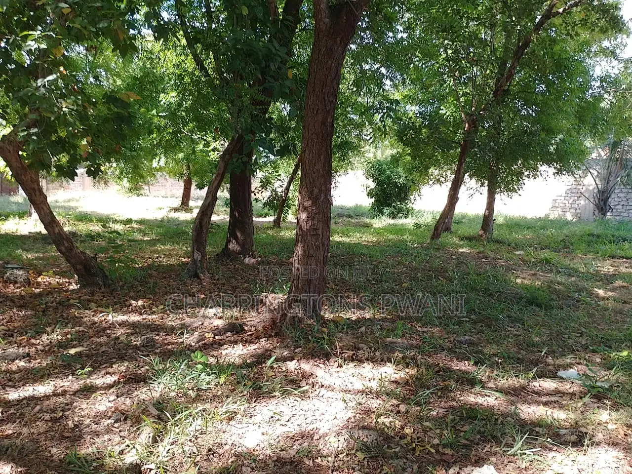 1⁄2 Acre Plot | 4th Row Diani | Private Well | Walk to Beach Airport in Diani