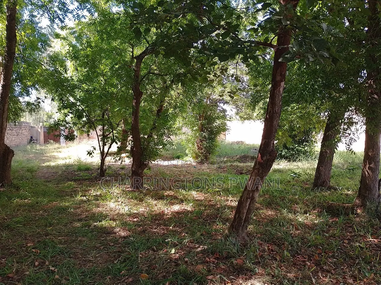 1⁄2 Acre Plot | 4th Row Diani | Private Well | Walk to Beach Airport in Diani