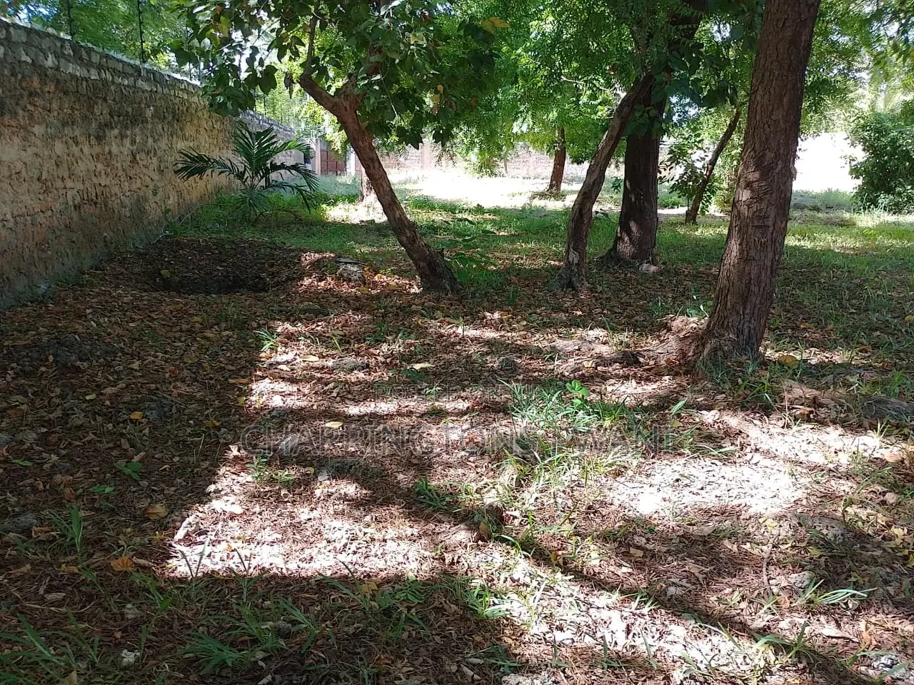 1⁄2 Acre Plot | 4th Row Diani | Private Well | Walk to Beach Airport in Diani